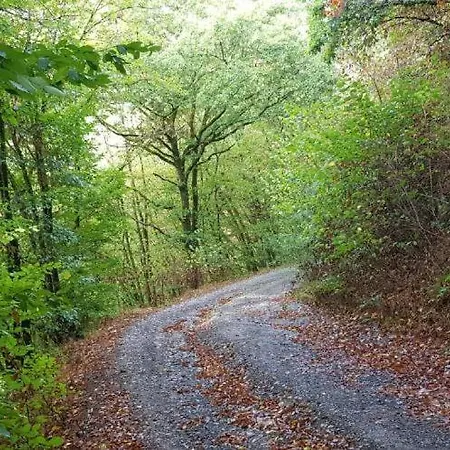 Neumuehle * Lutzerath